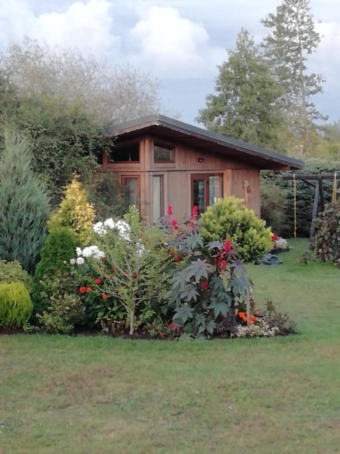 Villa Eko Oaze Pērkone Esterno foto