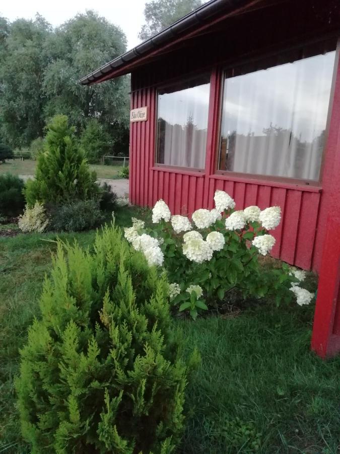 Villa Eko Oaze Pērkone Esterno foto