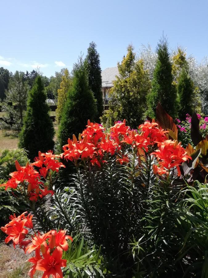 Villa Eko Oaze Pērkone Esterno foto