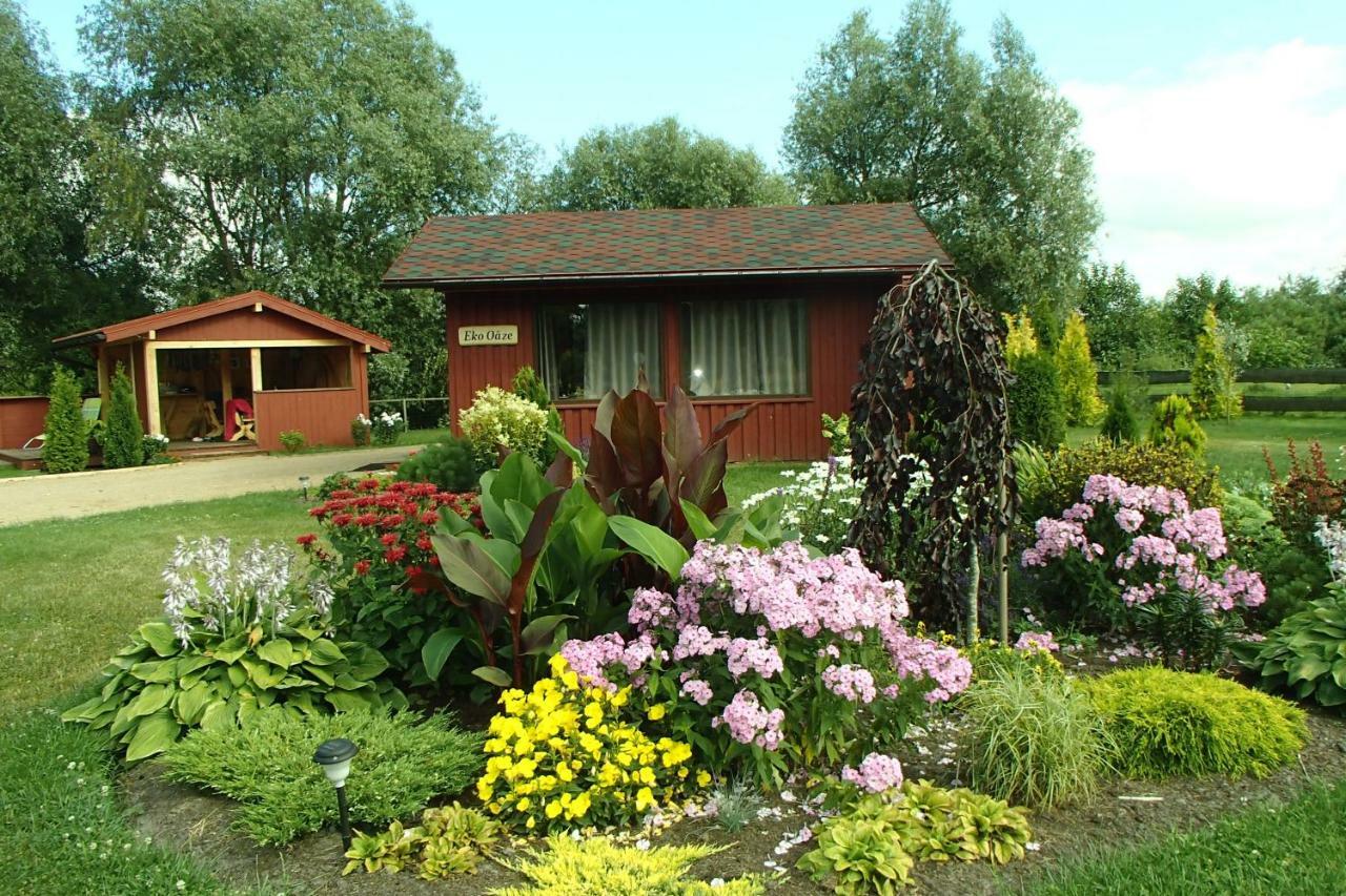 Villa Eko Oaze Pērkone Esterno foto