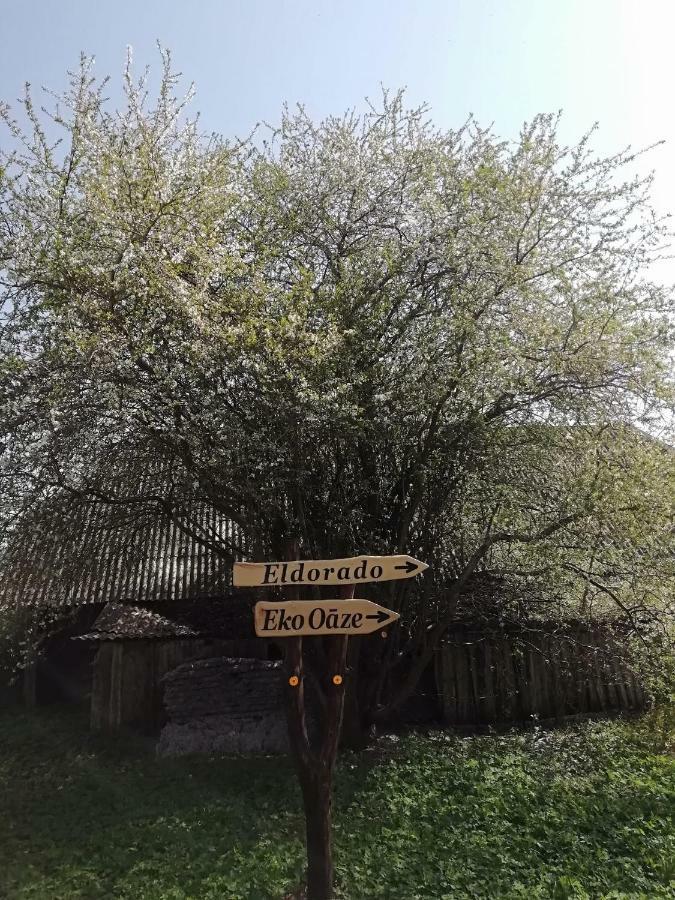 Villa Eko Oaze Pērkone Esterno foto